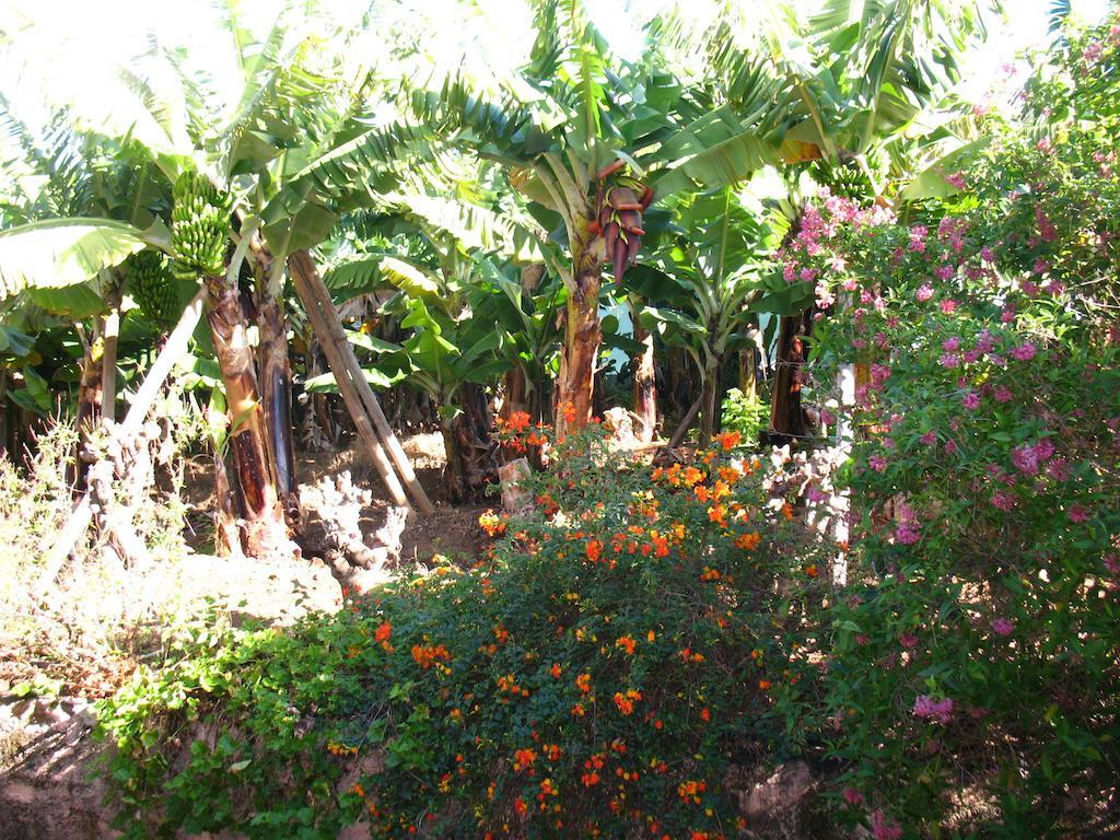 Quinta Sao Goncalo Villa Funchal  Kültér fotó